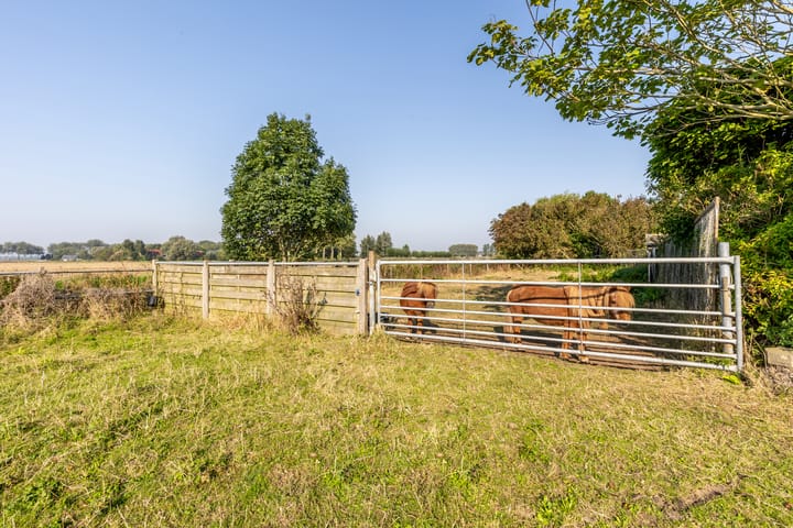 Photo 17 of Abbewerveweg 5