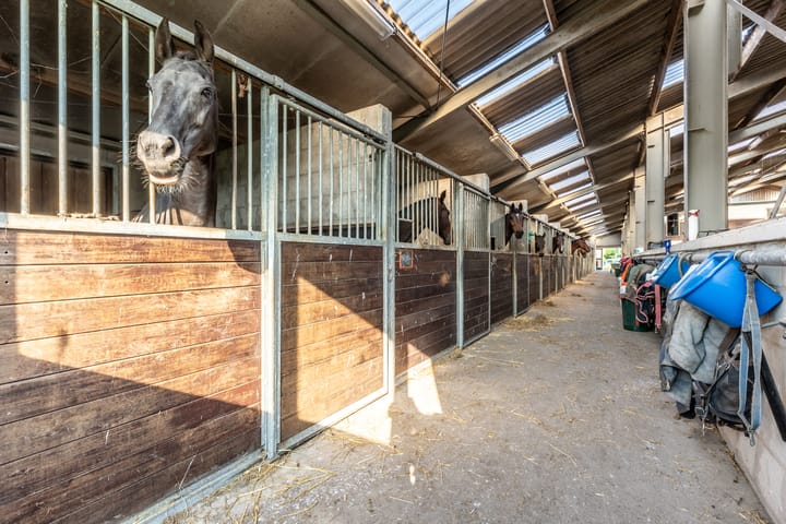 Photo 23 of Abbewerveweg 5