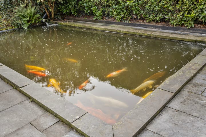 Foto 34 van Kamperfoelie 21