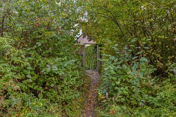 Foto 39 van Kamperfoelie 21