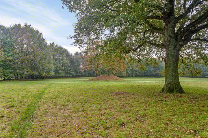 Foto 40 van Kamperfoelie 21