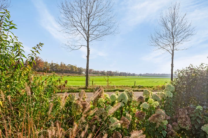 Foto 73 van Jonaserf 9