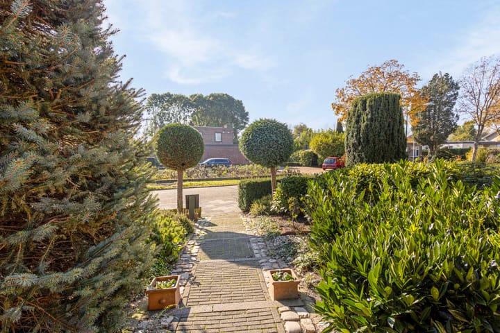 Foto 51 van Balledonk 5