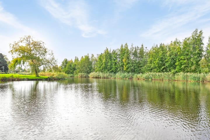 Foto 31 van Telstar 13