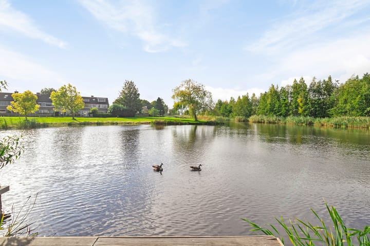 Foto 32 van Telstar 13