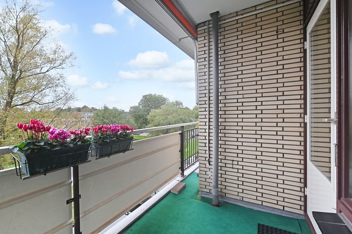 Photo 24 of Monseigneur van Steelaan 149