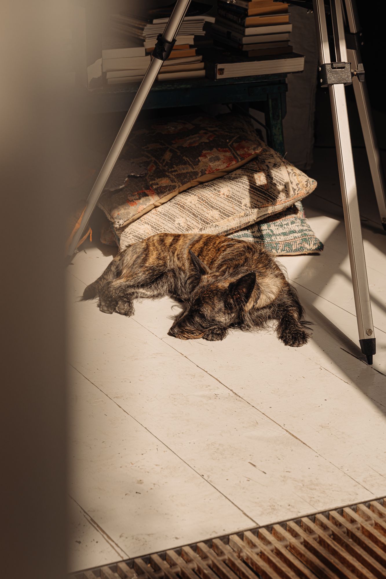 Foto 18 van Roomeinde 12