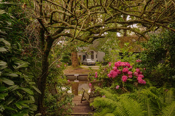 Foto 22 van Roomeinde 12