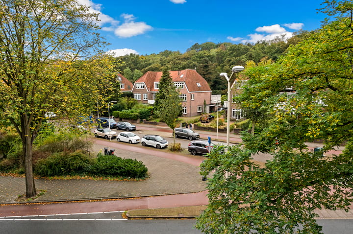 Foto 4 van Oostduinlaan 189