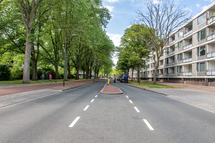 Foto 19 van Hengelolaan 695