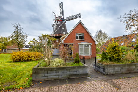 undefined main image