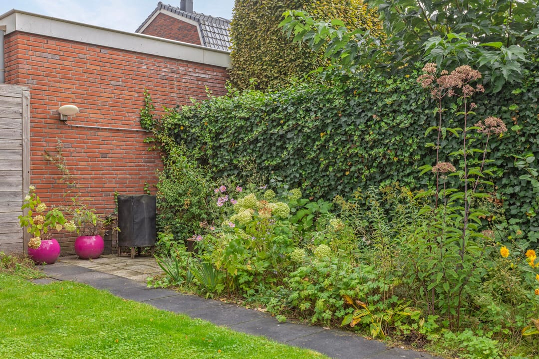 Foto 46 van Verwestraat 6-A