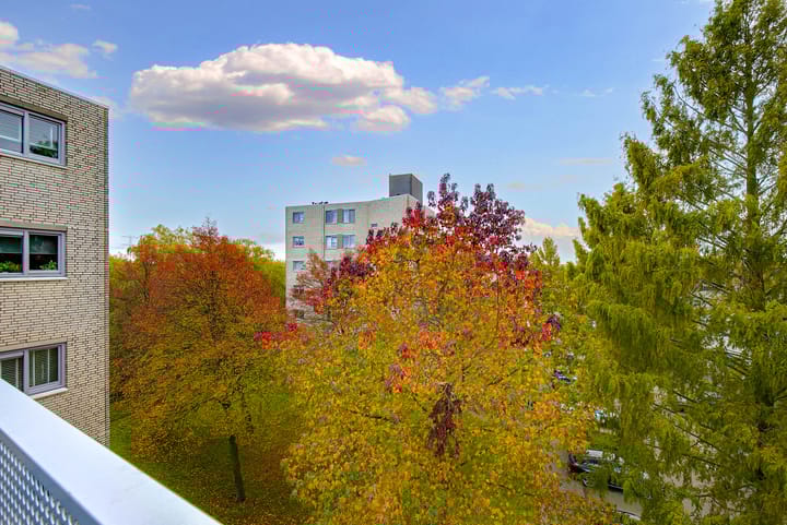 Foto 15 van Watercipresstraat 90