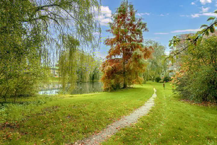 Foto 31 van Watercipresstraat 90