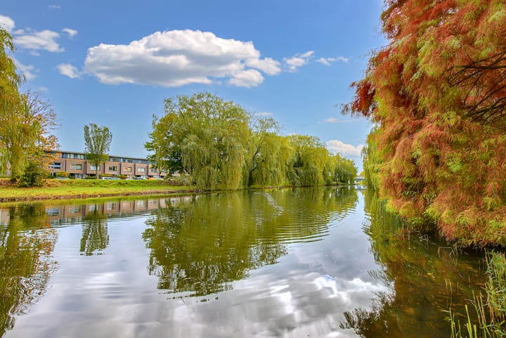 Foto 32 van Watercipresstraat 90