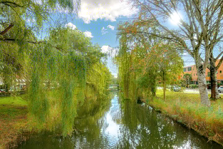 Foto 45 van Darja Collinstraat 2