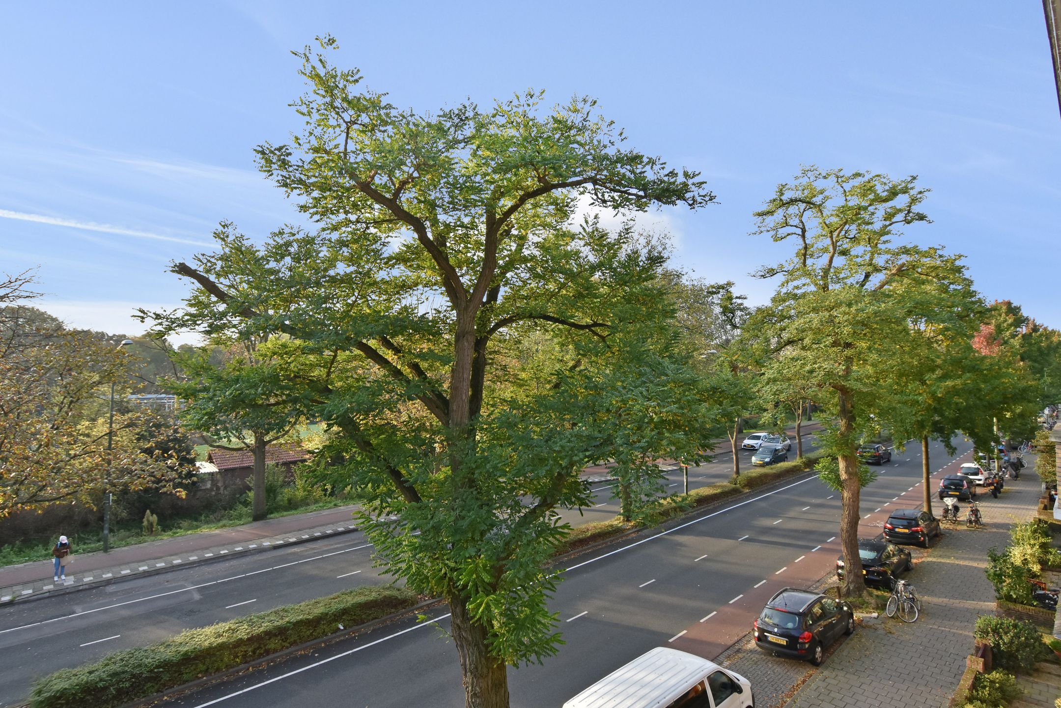 Foto 24 van Vreeswijkstraat 175