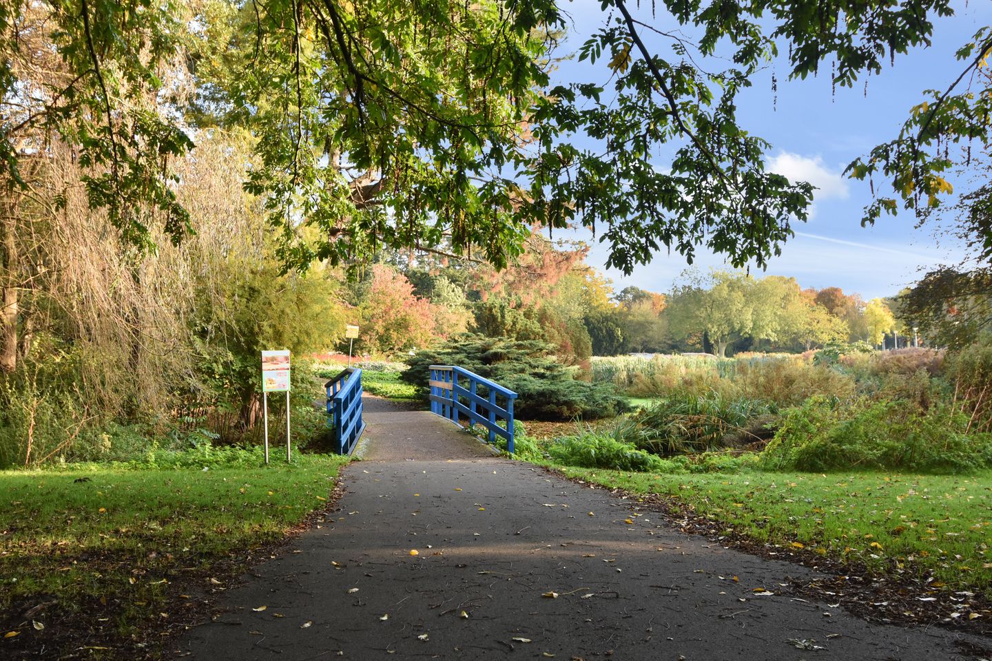 Foto 25 van Vreeswijkstraat 175