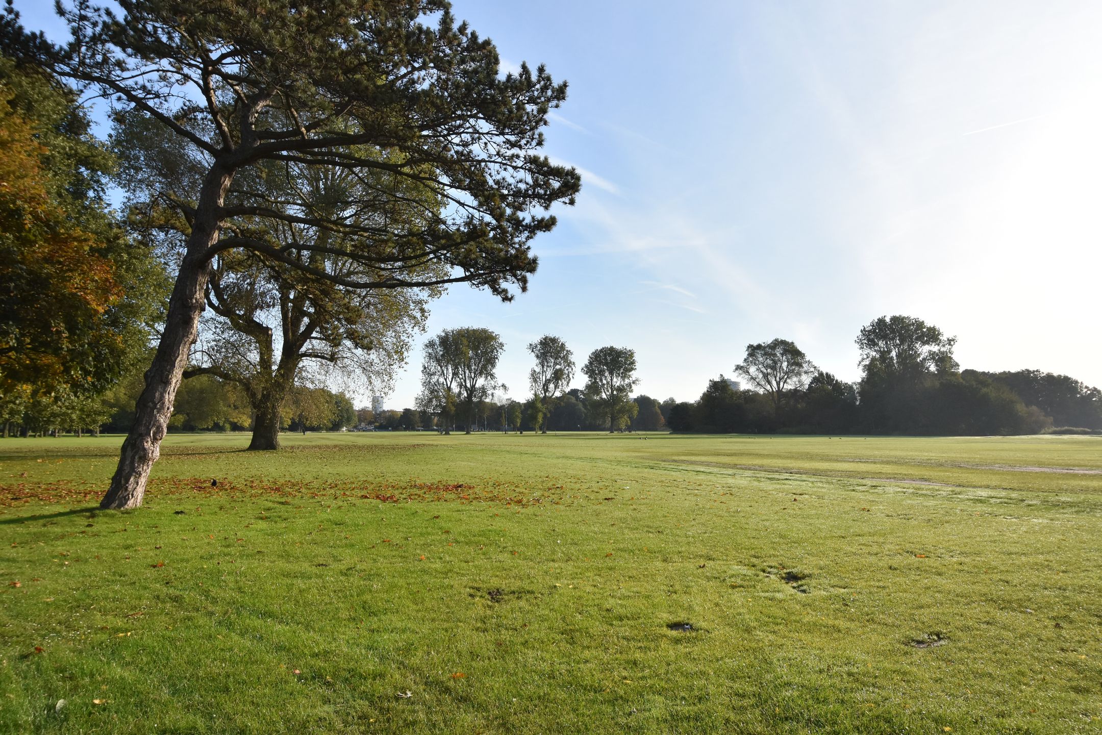 Foto 27 van Vreeswijkstraat 175