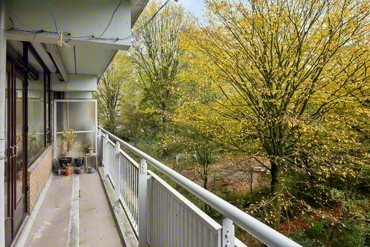 Foto 13 van Roland Holstlaan 994