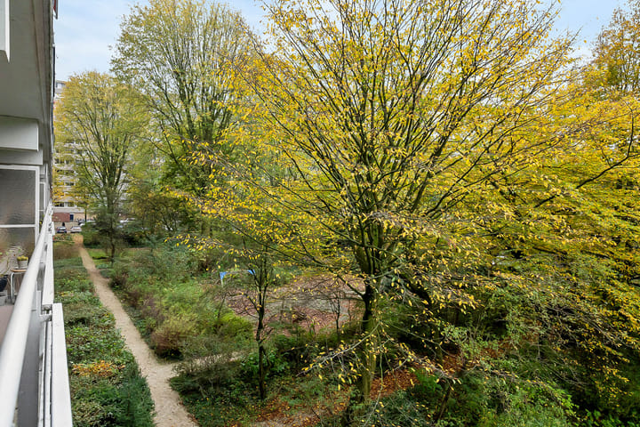 Foto 28 van Roland Holstlaan 994