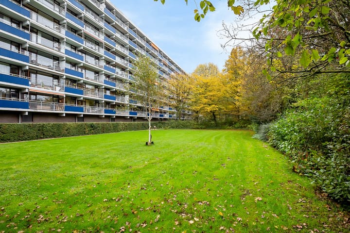 Foto 29 van Roland Holstlaan 994