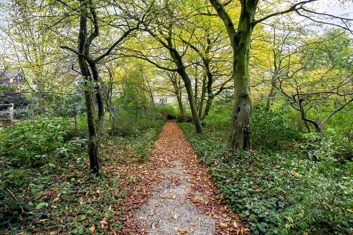 Foto 31 van Roland Holstlaan 994