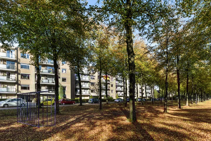 Foto 39 van Koning Lodewijklaan 82