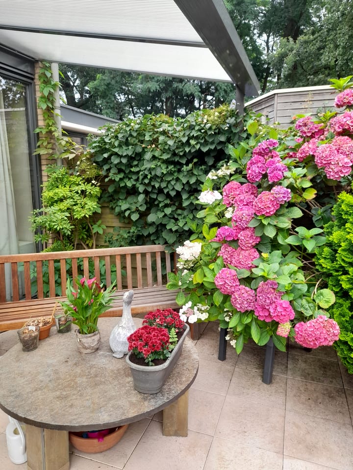 Foto 49 van Rhenendael 169