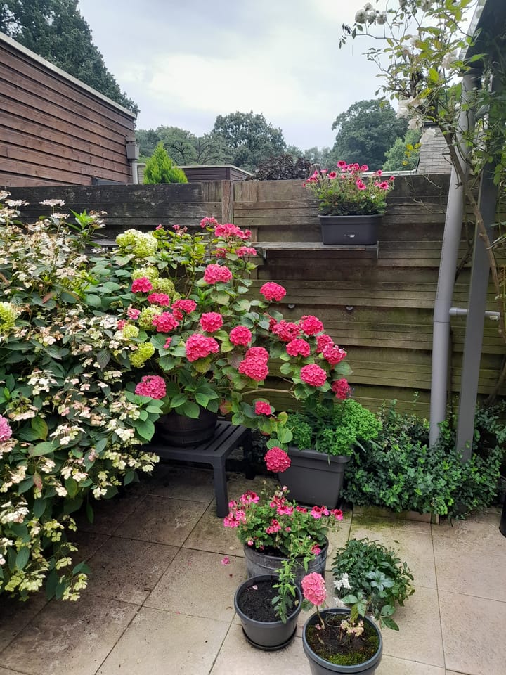 Foto 50 van Rhenendael 169