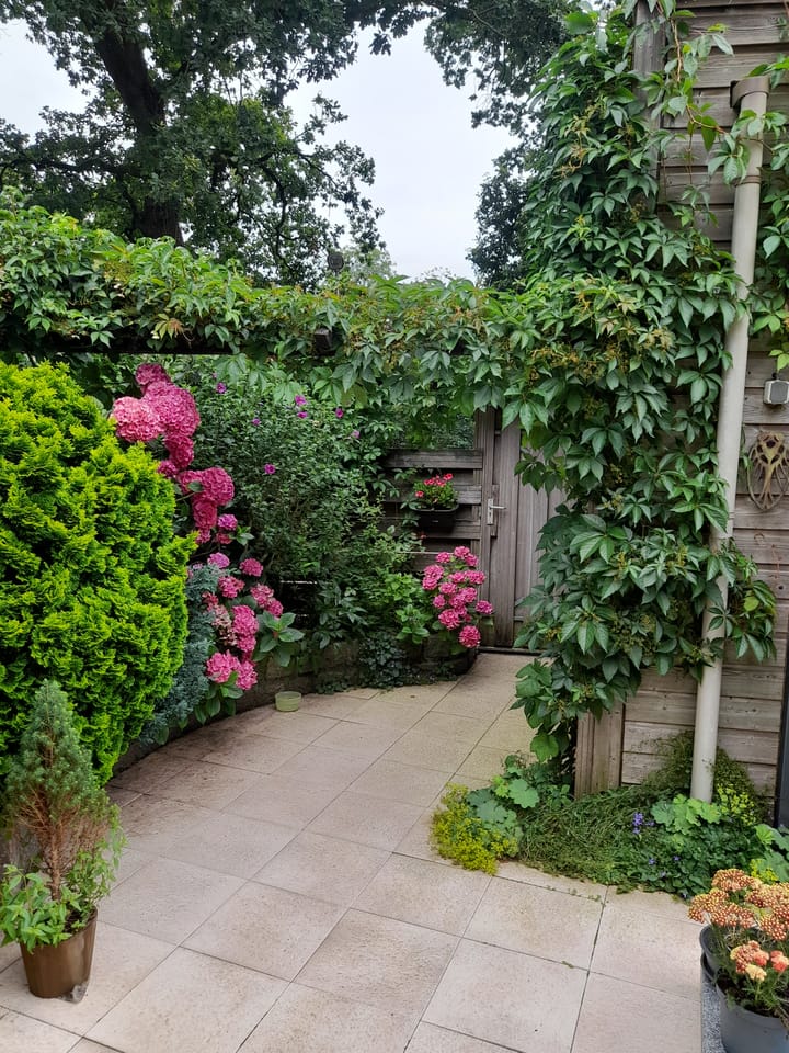 Foto 51 van Rhenendael 169