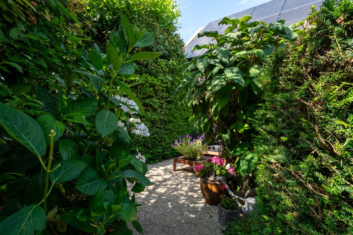 Foto 51 van Middenweg 11-A