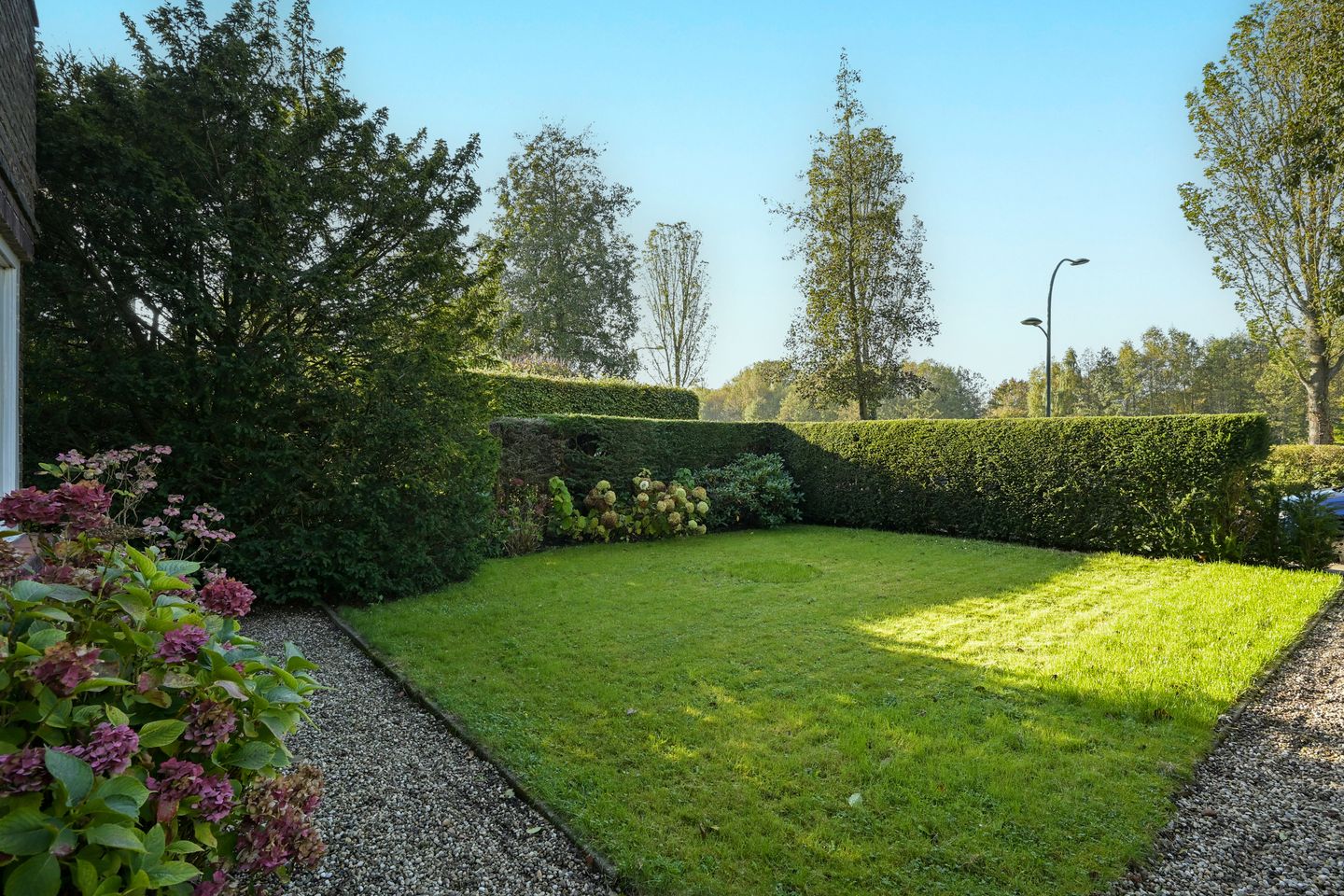 Foto 5 van Wittenburgerweg 36