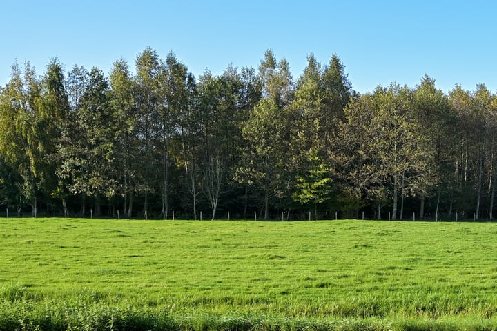 Bekijk foto 48 van Wittenburgerweg 36