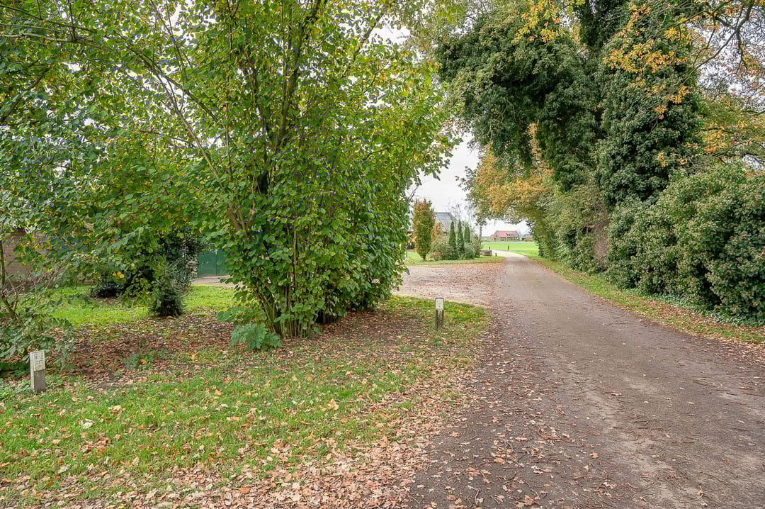 Foto 16 van De Dunsborg 6