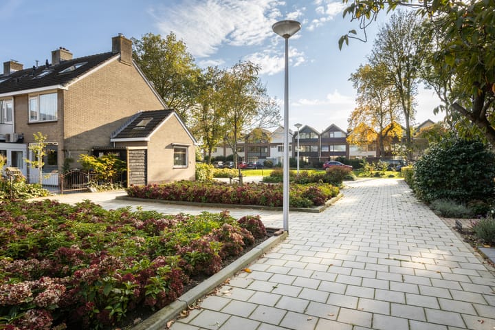 Foto 47 van Groenezoom 22