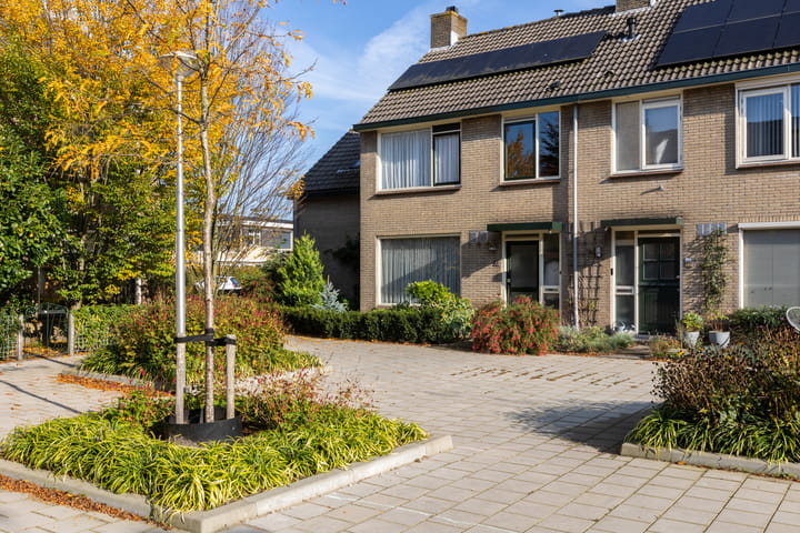 Foto 49 van Groenezoom 22