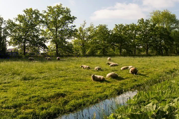 Foto 37 van Hofbergen 17