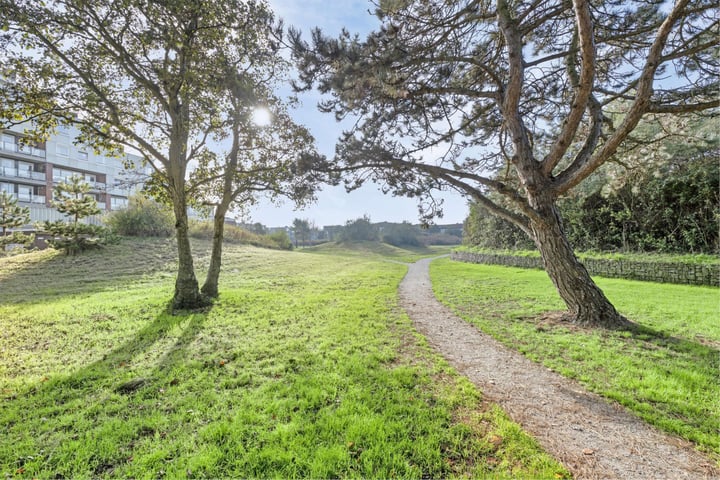 Bekijk foto 33 van Haringvlietweg 38