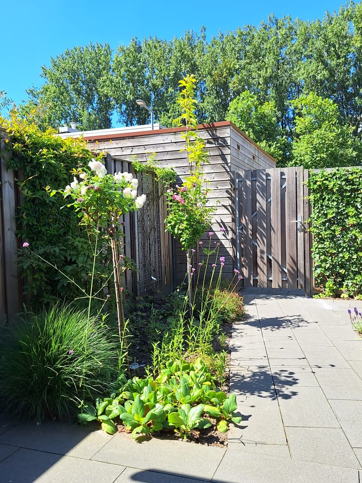 Foto 35 van Yersekestraat 39