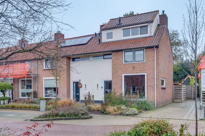 undefined main image