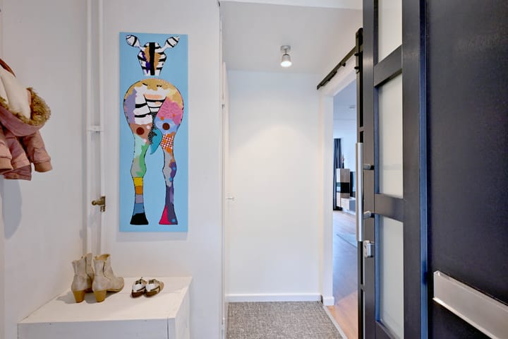 Foto 2 van Vlaamse gaai 6