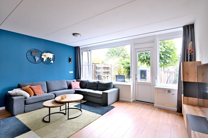 Foto 5 van Vlaamse gaai 6