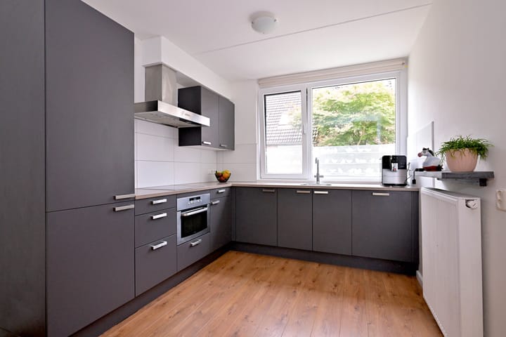 Foto 10 van Vlaamse gaai 6