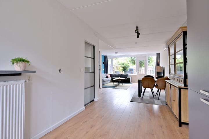 Foto 12 van Vlaamse gaai 6