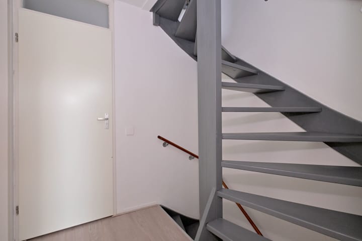 Foto 14 van Vlaamse gaai 6