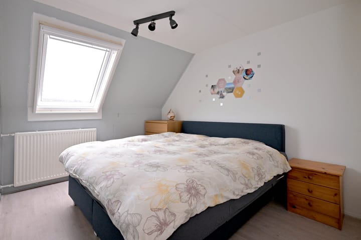 Foto 15 van Vlaamse gaai 6