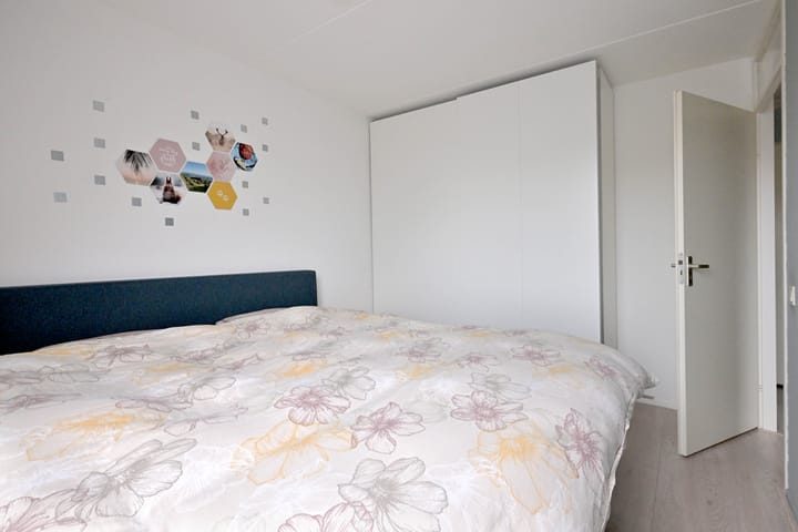 Foto 16 van Vlaamse gaai 6