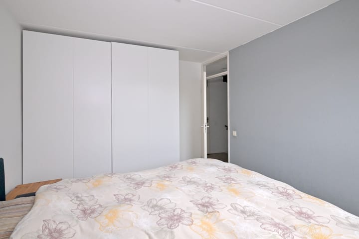 Foto 17 van Vlaamse gaai 6