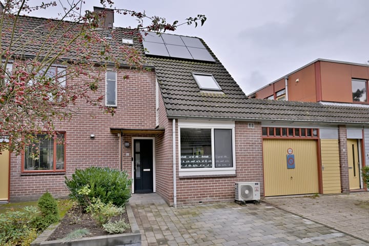 Foto 1 van Vlaamse gaai 6